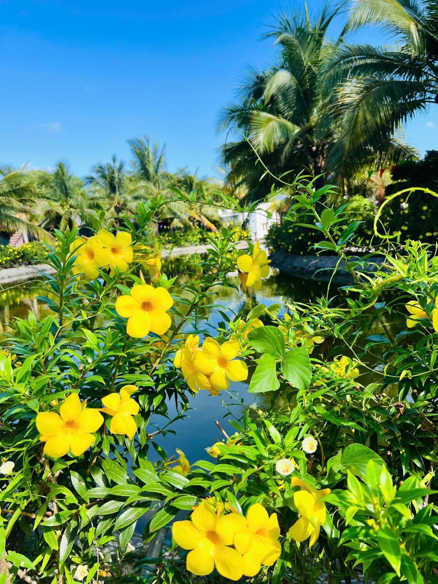Ho Coc Park & Resort Xa Nhu Lam Экстерьер фото