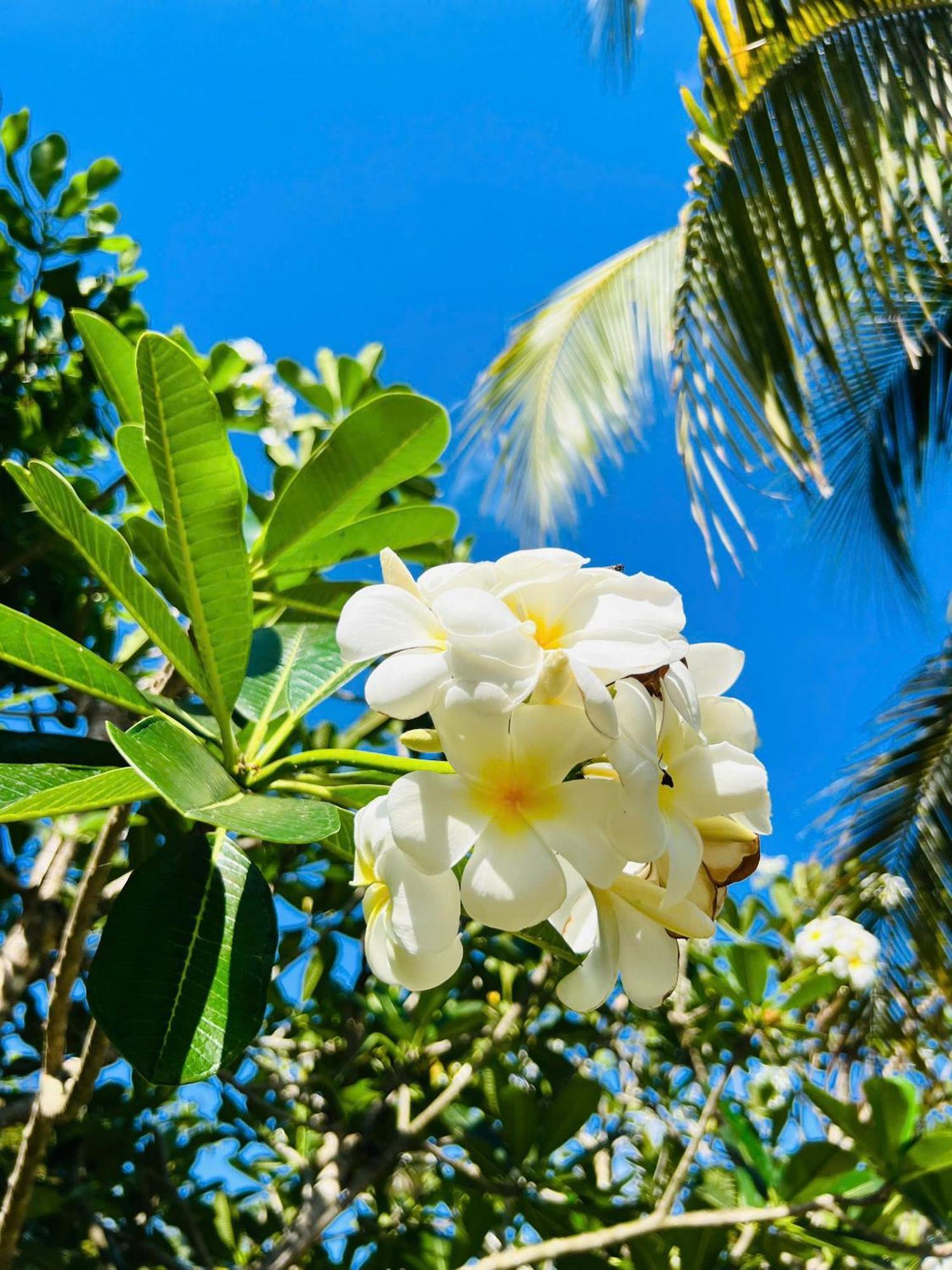 Ho Coc Park & Resort Xa Nhu Lam Экстерьер фото
